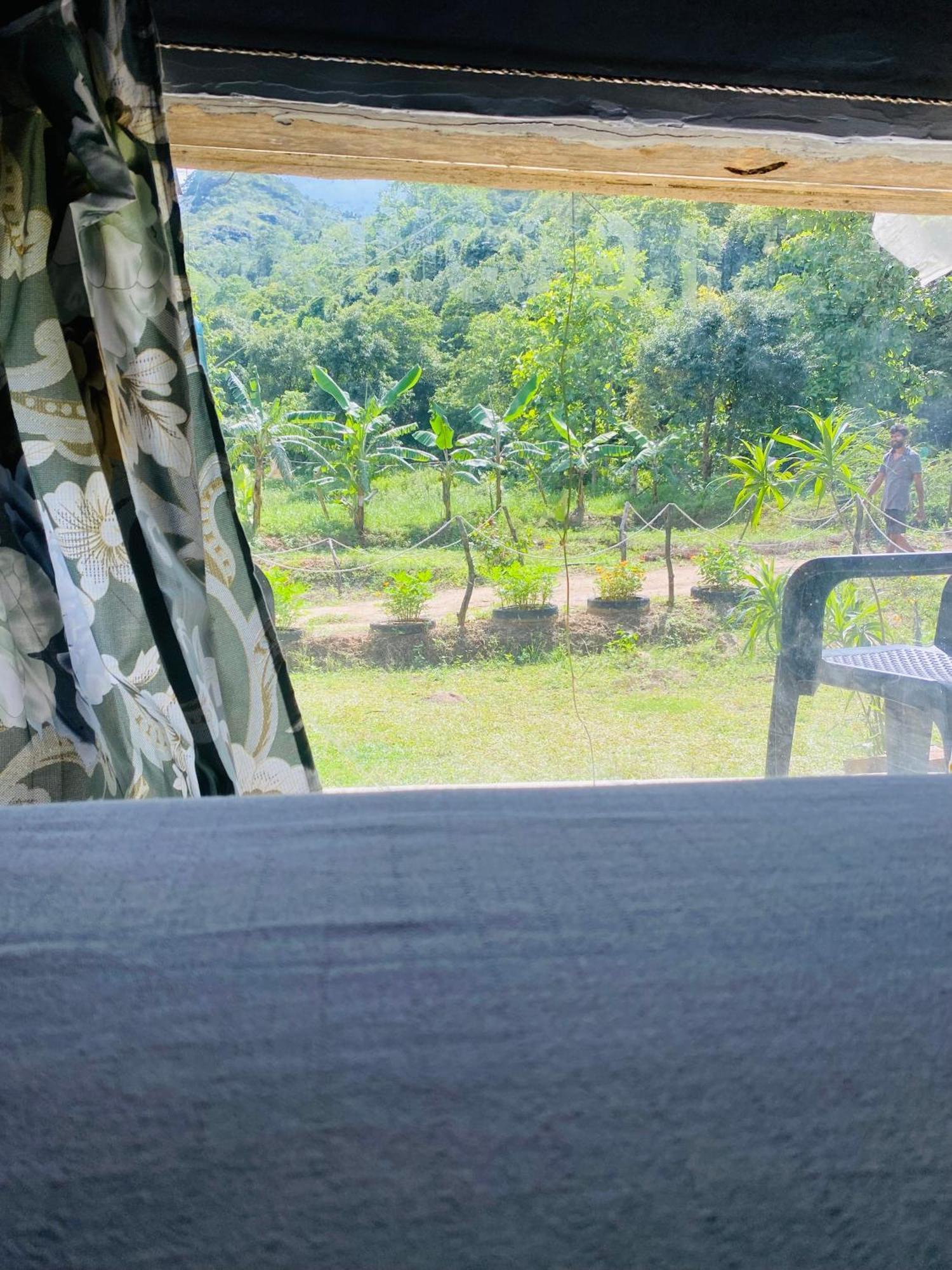 The Forest Edge Resort Dambulla Exterior foto
